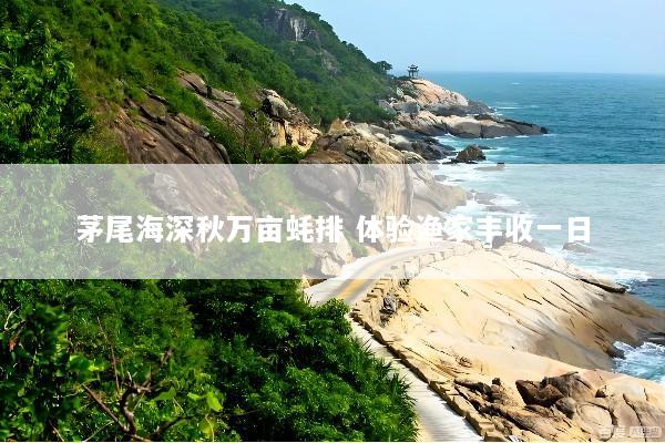 茅尾海深秋万亩蚝排 体验渔家丰收一日
