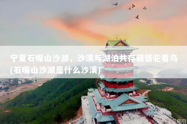 宁夏石嘴山沙湖，沙漠与湖泊共存骑骆驼看鸟(石嘴山沙湖是什么沙漠)