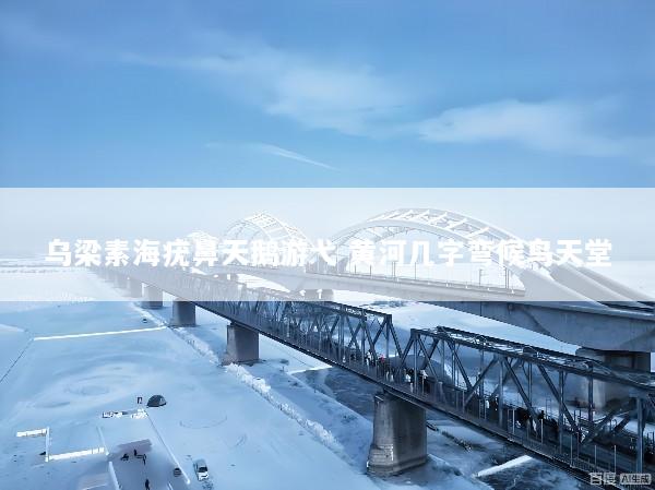 乌梁素海疣鼻天鹅游弋 黄河几字弯候鸟天堂