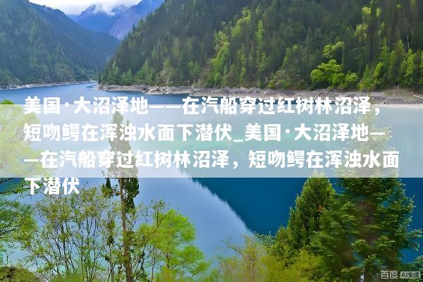 美国·大沼泽地——在汽船穿过红树林沼泽，短吻鳄在浑浊水面下潜伏_美国·大沼泽地——在汽船穿过红树林沼泽，短吻鳄在浑浊水面下潜伏