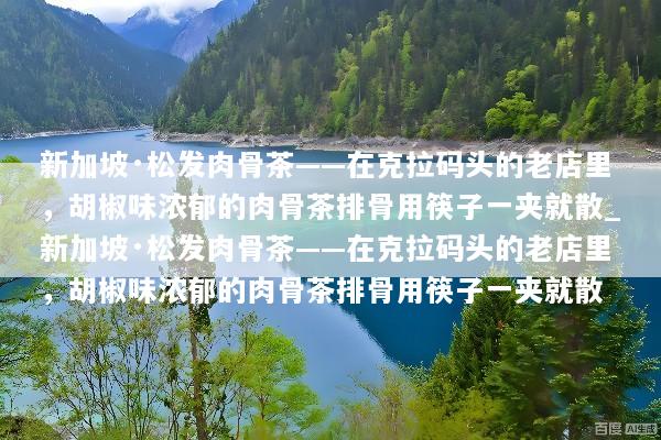 新加坡·松发肉骨茶——在克拉码头的老店里，胡椒味浓郁的肉骨茶排骨用筷子一夹就散_新加坡·松发肉骨茶——在克拉码头的老店里，胡椒味浓郁的肉骨茶排骨用筷子一夹就散