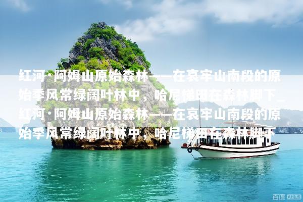 红河·阿姆山原始森林——在哀牢山南段的原始季风常绿阔叶林中，哈尼梯田在森林脚下_红河·阿姆山原始森林——在哀牢山南段的原始季风常绿阔叶林中，哈尼梯田在森林脚下