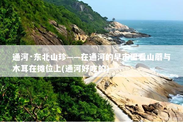 通河·东北山珍——在通河的早市里看山蘑与木耳在摊位上(通河好吃的)