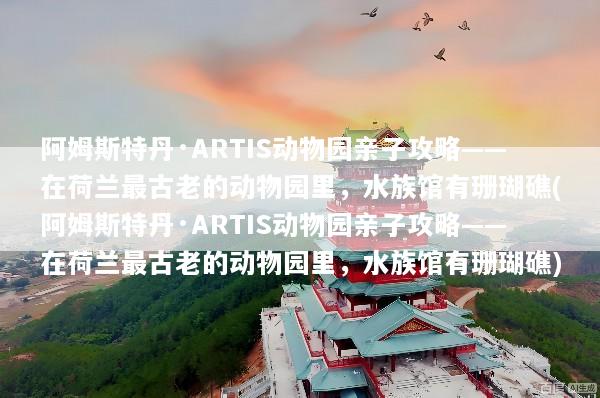 阿姆斯特丹·ARTIS动物园亲子攻略——在荷兰最古老的动物园里，水族馆有珊瑚礁(阿姆斯特丹·ARTIS动物园亲子攻略——在荷兰最古老的动物园里，水族馆有珊瑚礁)