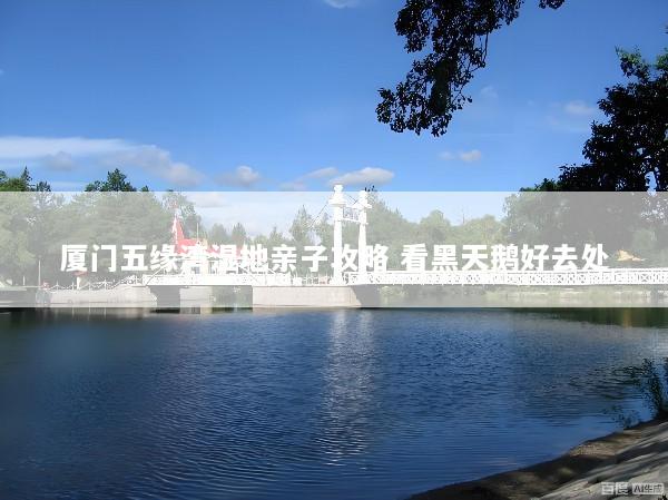 厦门五缘湾湿地亲子攻略 看黑天鹅好去处